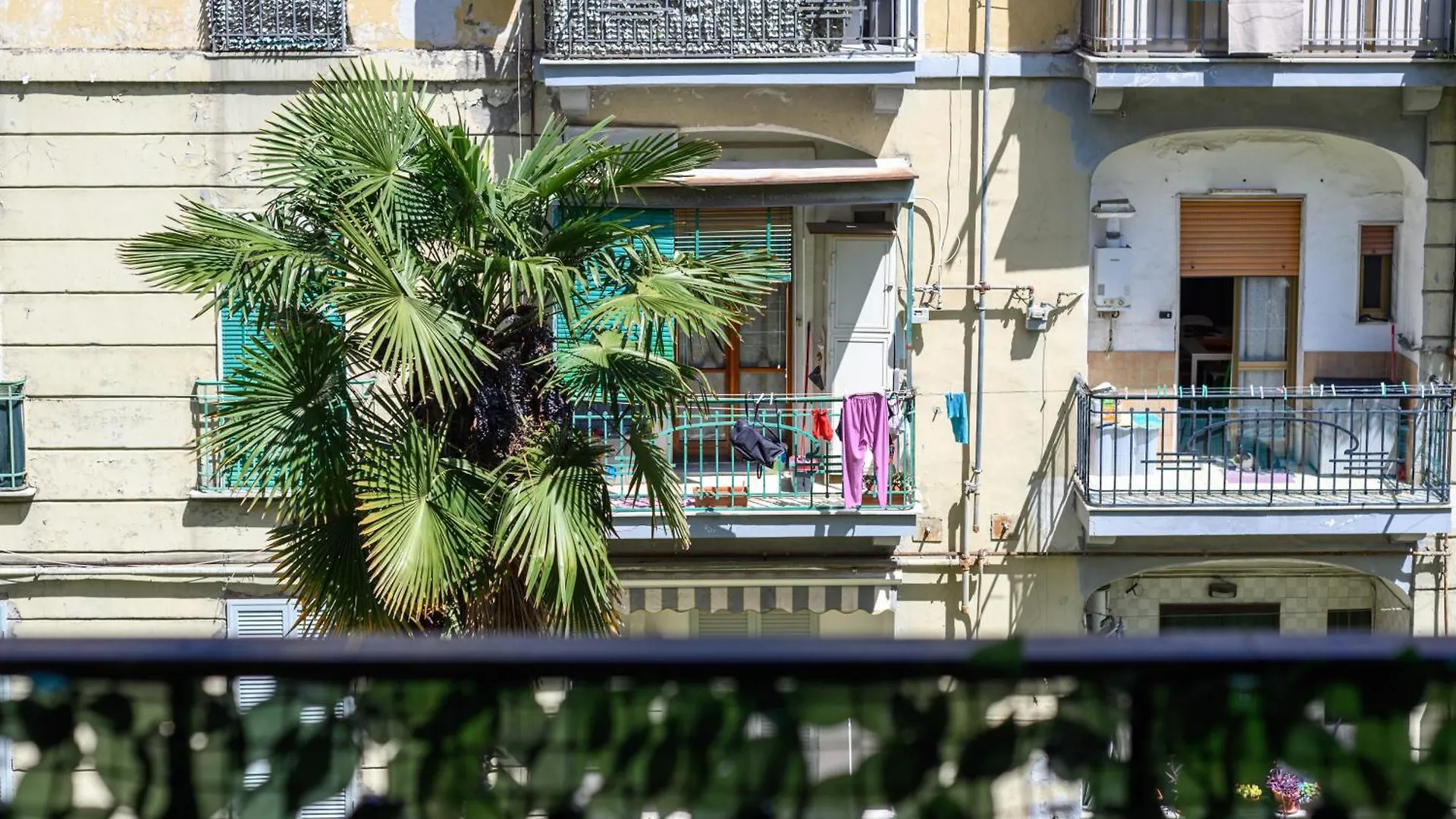 Domus Romeo Apartment Naples Italy